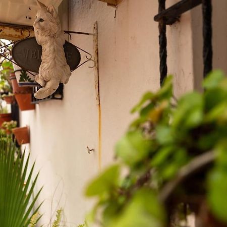 カディスEl Patio De La Vina By Gades Gestionアパートメント エクステリア 写真