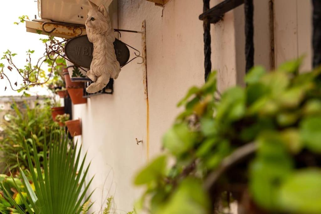 カディスEl Patio De La Vina By Gades Gestionアパートメント エクステリア 写真